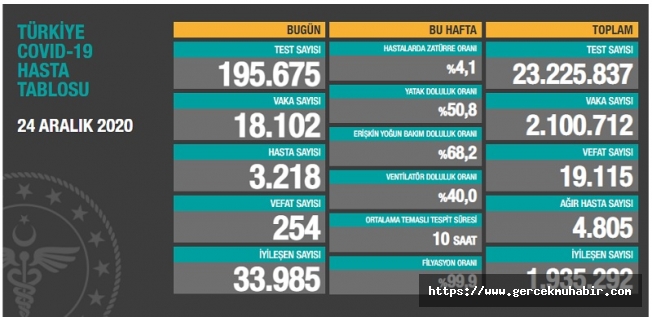 Türkiye'de koronavirüsten 254 kişi daha hayatını kaybetti