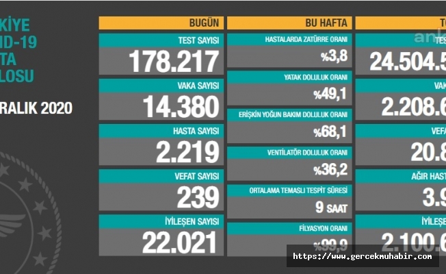 Türkiye'de yılın son gününde koronavirüsten 239 kişi daha hayatını kaybetti