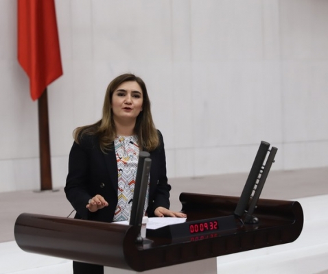 CHP'li Kılıç: “Aya gidiyoruz ama 3,5 ayda bir sahra hastanesi bile yapamıyoruz”