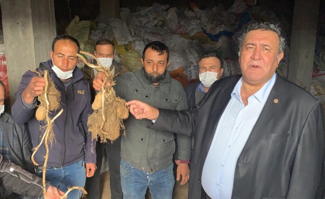 Gürer:  “Çiftçileri karabulutlar sardı”