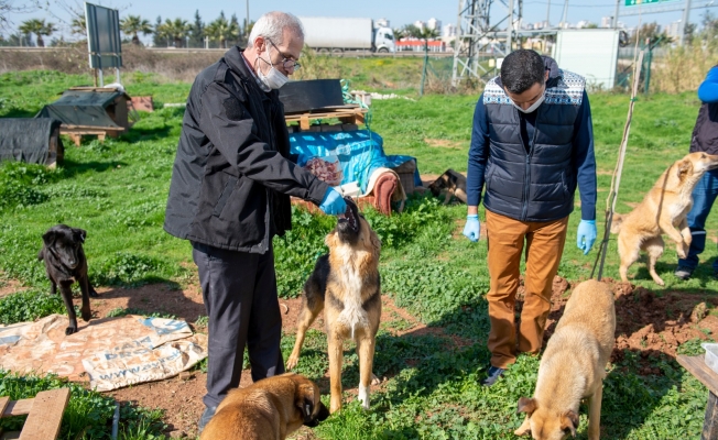 SEYHAN’DA HİÇ KİMSE KİMSESİZ DEĞİL!