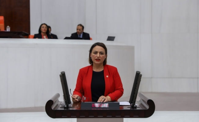 CHP'li Şevkin: İnsan Hakları Eylem Planı'nın ilk düğmesi hatalı iliklendi