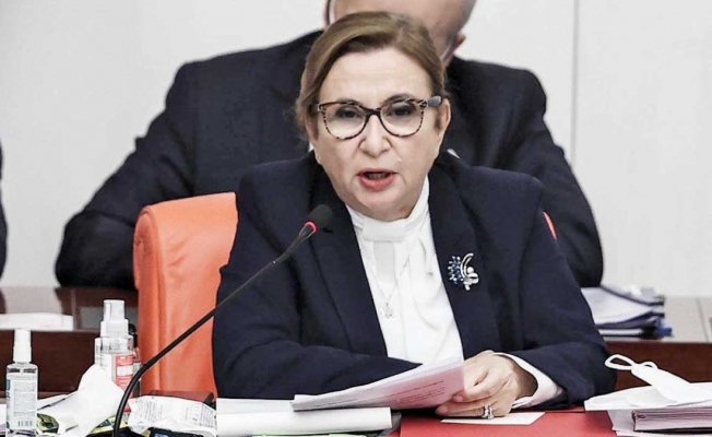 Bakanlığa dezenfektan satmıştı; eski bakan Pekcan’ın şirketine 1.4 milyon TL devlet desteği verilmiş