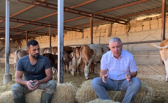 Çetin Arık, besicilerin isyanını anlattı