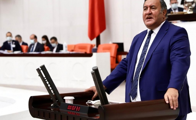 Gürer: “Balon balıkları Akdeniz’i tehdit ediyor”