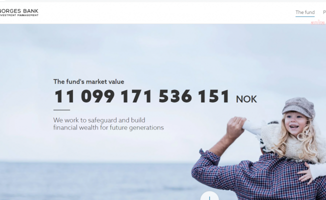 Norveç Varlık Fonu 46 Milyar Dolar Kar Etti