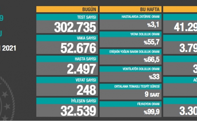 Türkiye'de koronavirüsten 248 kişi daha hayatını kaybetti