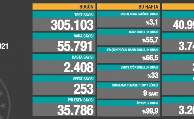 Türkiye'de koronavirüsten 253 kişi daha hayatını kaybetti