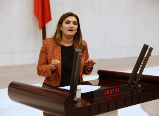 CHP'li Kılıç: “İzmir’in ciğerleri yanınca değil, yanmadan önce önlem alınsın”