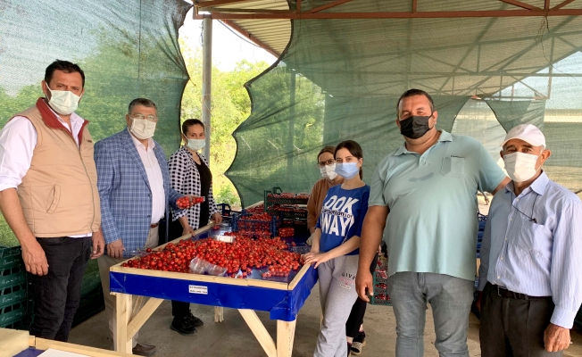 Milletvekili Sındır; “Kiraz üreticisini pandemi değil pazara müdahaleler bitiriyor”
