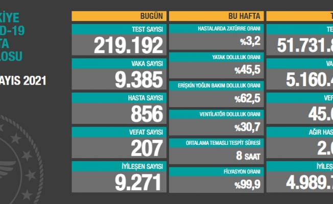 Türkiye'de koronavirüsten 207 kişi daha hayatını kaybetti