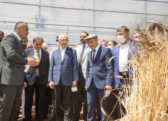 Kılıçdaroğlu üreticilerle buluştu: "Koskoca Tarım Bakanlığı'nın yapamadığını seçtiğiniz başkan yapıyor