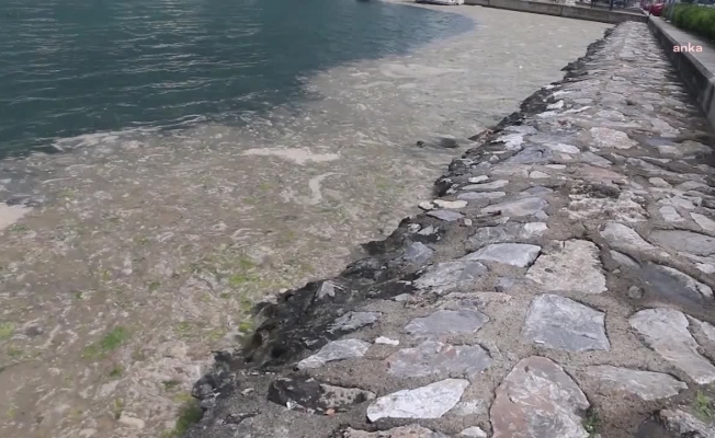 TBMM'de bu hafta ''Müsilaj Sorununu Araştırma Komisyonu" kurulması bekleniyor