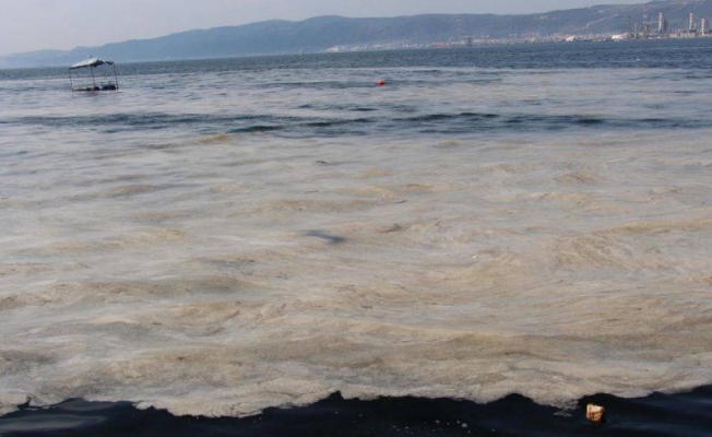 TBMM'de Müsilaj Araştırma Komisyonu kuruldu