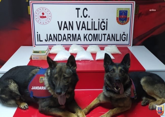 Van ve Bingöl'de uyuşturucu operasyonu: 101 kg toz esrar, 29 kg eroin ele geçirildi