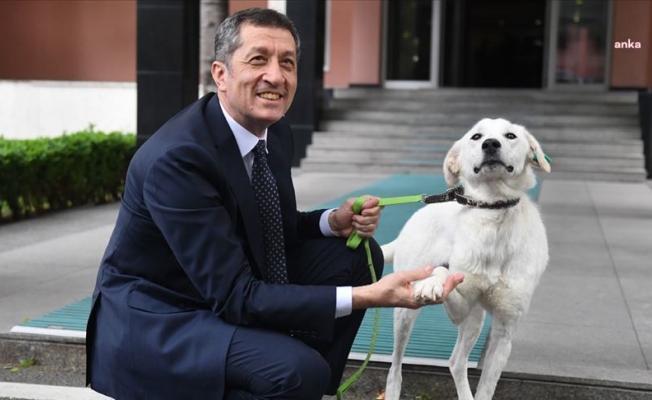 Bakan Selçuk, vatandaşın köpeği Pergel'e gazete okuduğu fotoğrafı paylaştı