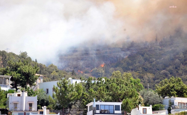 Bodrum merkezde orman yangını: Oteller ve evler boşaltılıyor