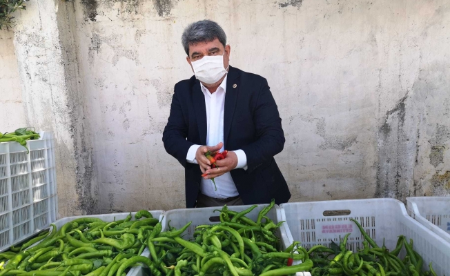 CHP'li Gökçen: "Gençlerin en büyük hayali Avrupa'da kurye olmak"
