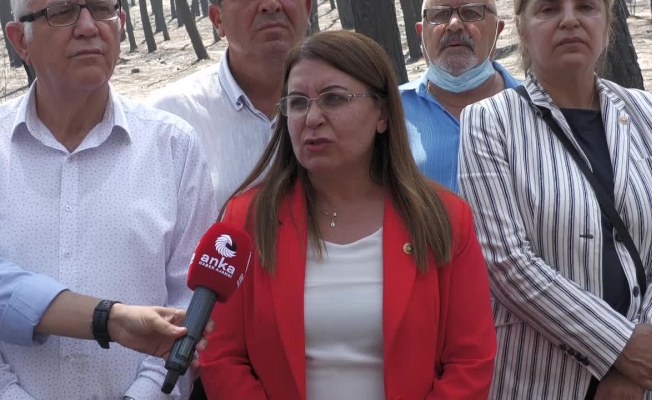 CHP'li Karaca'dan Erdoğan'a Marmaris tepkisi: "Yarattığın eseri tepeden görmeye mi geliyorsun?"
