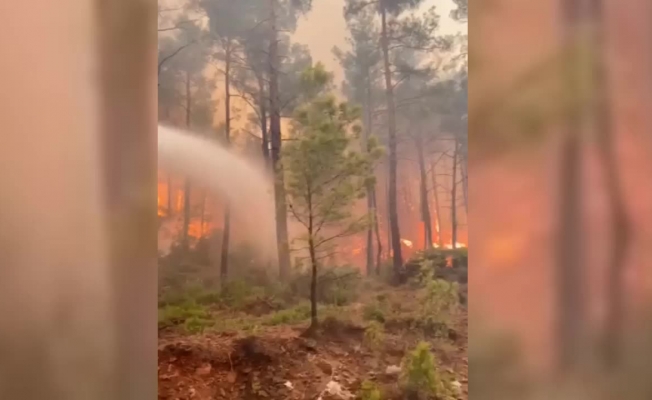 Eski Milli Parklar Genel Müdürü: Yangının çıkardığı enerji atom bombasına eşit, su atarak durdurma şansınız çok düşük