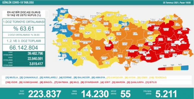 Türkiye'de koronavirüsten 55 kişi daha hayatını kaybetti