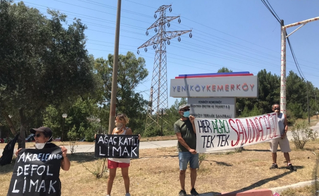 Akbelen Ormanları’ndaki ağaçlar kesilmeye başlandı