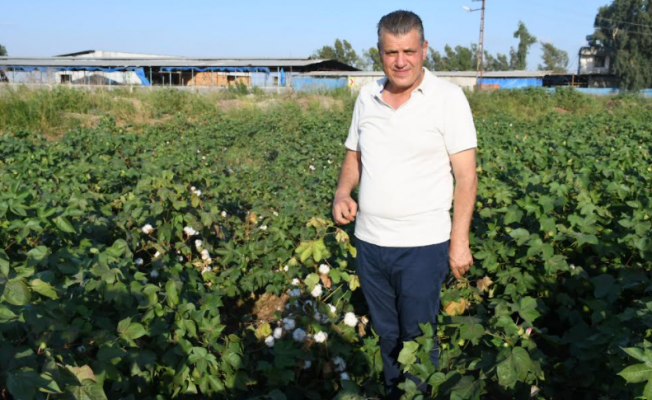 Ayhan Barut'tan "Pamukta 2 milyar dolarlık ithalata tepki"
