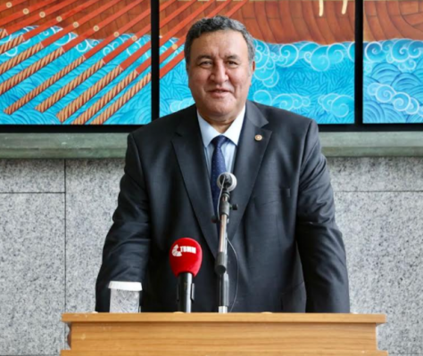 Gürer, TÜİK’i mercek altına aldı