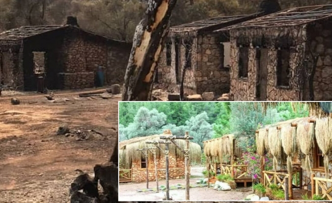 Mandıra Filozofu'nun çekildiği Çökertme Koyu küle döndü!