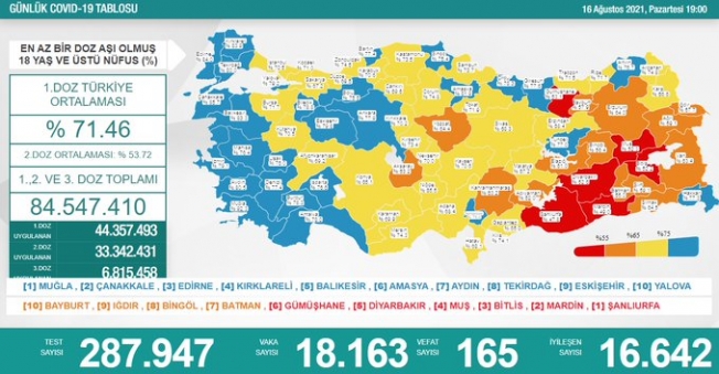 Türkiye'de koronavirüsten 165 kişi daha hayatını kaybetti