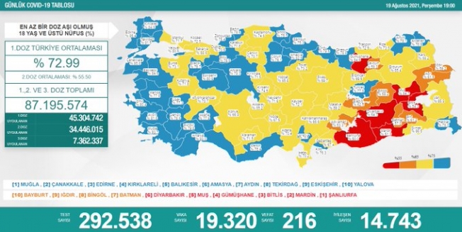 Türkiye'de koronavirüsten 216 kişi daha hayatını kaybetti