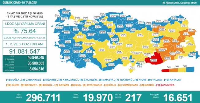 Türkiye'de koronavirüsten 217 kişi daha hayatını kaybetti