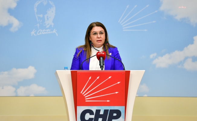 CHP'li Karaca: "Tek kişilik saray hükümetinin yarattığı sorunların çözümü için CHP hazır"