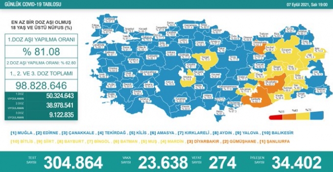 Türkiye'de koronavirüsten 274 kişi daha hayatını kaybetti