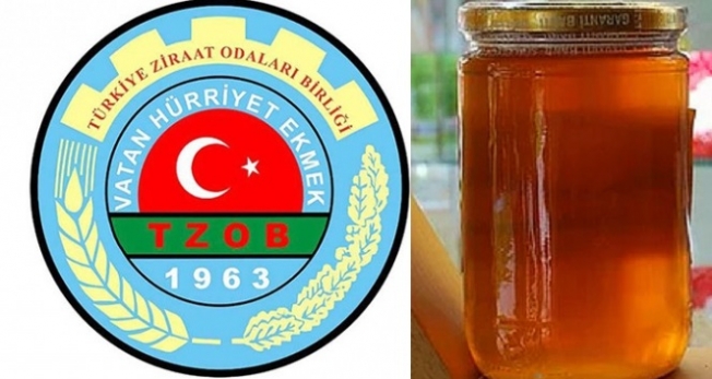 TZOB Başkanı Bayraktar, yaşanan kuraklık ve yangınların 'sahte bal satışına fırsat vereceğini' söyledi