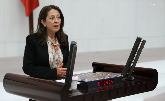 Bakan Pakdemirli'ye Toroslar'daki ardıç kesimi iddiaları soruldu: "Nedeni biyokütle üretimi yapan şirkete hammade sağlamak mı?"