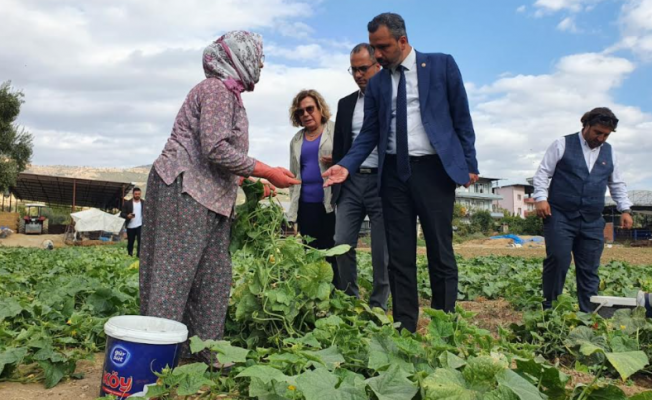 Burak Erbay: Tarım Bakanı çiftçiyi anladı ama yanlış anladı!