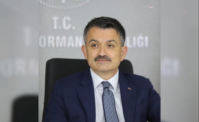 Bakan Pakdemirli: "Yangın söndürme envanterinde 3 amfibik uçak var"