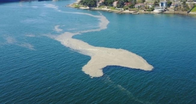 Marmara Denizi ve Adalar 'Özel Çevre Koruma Bölgesi' İlan Edildi