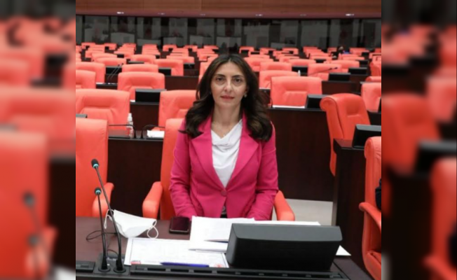 CHP'li Kayışoğlu: "Emekçi sanatçılar hak ettiği yerde olsun”