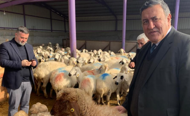 Hayvandan hastalık bulaşan 10 bin 459 kişi tedavi edildi