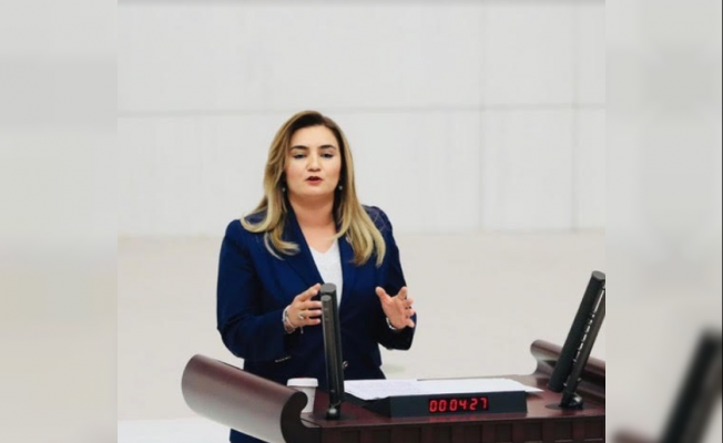 CHP'li Kılıç: “İktidar Ödemiş’i ölüm yollarıyla cezalandırıyor”