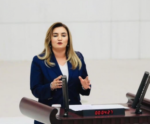 CHP'li Kılıç: “Urla’nın doğasının ve tarihi dokusunun taş ocaklarıyla katledilmesine izin vermeyeceğiz”