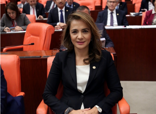 İlgezdi: "CSO Cumhurbaşkanı’nı sansürlüyor, dünyada böyle bir durum ilk defa oluyor"