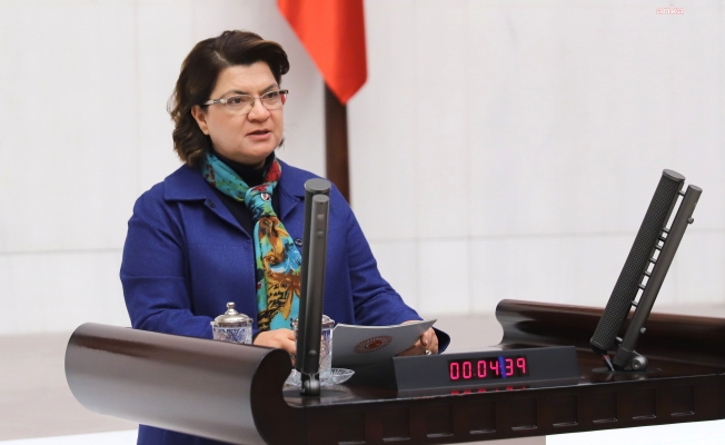 Suzan Şahin kalıcı yaz saati uygulamasının kaldırılması için kanun teklifi verdi