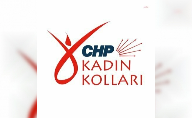 CHP Kadın Kolları, 7 günde Ankara’nın 13 ilçesinde Aile Destekleri Sigortası'nı anlatacak