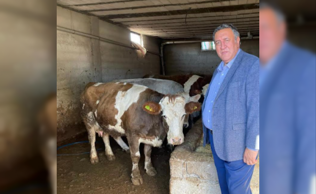 Gürer'den 'süt' açıklaması: “Üreticide 4 lira, markette 14 lira”