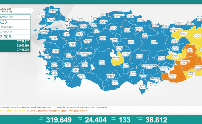 Koronavirüs nedeniyle 133 kişi daha yaşamını yitirdi