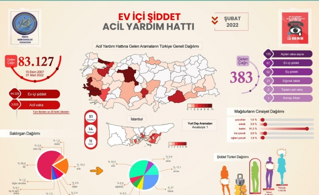 TKDF: Şubat'ta  aile içi şiddet yüzde 59,8 oranında eşler tarafından uygulandı