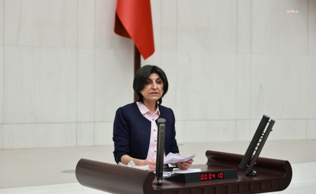 Sibel Özdemir'den kiracılar için kanun teklifi